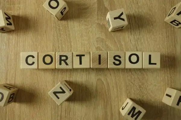 The Hidden Connection: How Stress Shapes Your Fitness and Body Composition 2 Image saying "Cortisol" and how stress Buckingham impacts your wellbeing and bodies shape